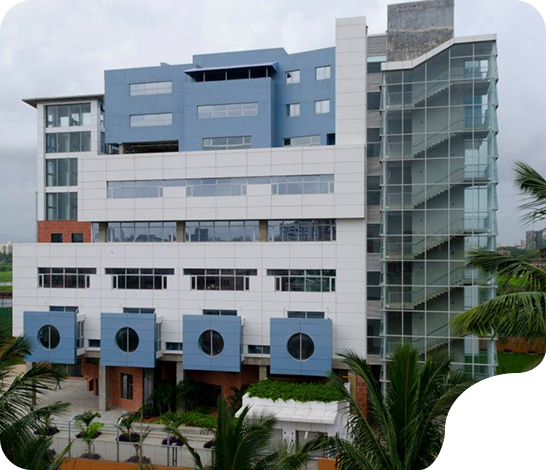 Ascend International School